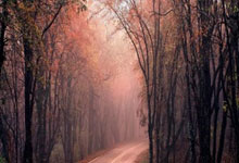 [乒乓球]孙颖莎林高远回应文明观赛倡议.