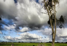 0.5倍慢镜还原!快船胜篮网5个“搞笑”瞬间,哈登一人缔造3次.