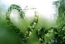 体坛名场面|朱婷这一球有多匪夷所思对方全员看傻眼,被各国教练反复研究.