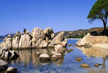 28国际官网：第26金！中国队夺得亚冬会速度滑冰男子团体追逐金牌央视新闻客户端.